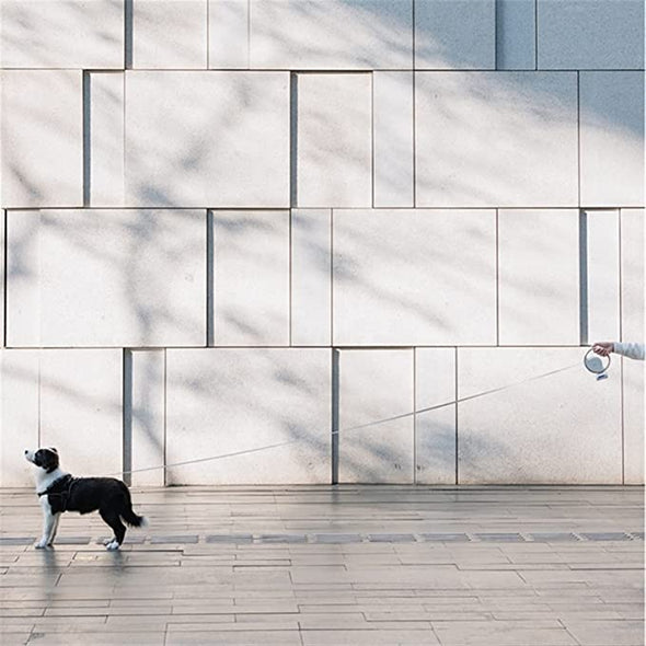 GlowPaws Retractable Leash