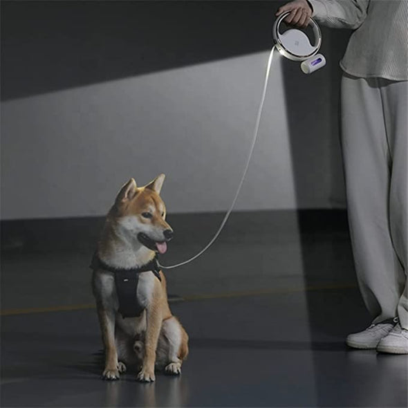 GlowPaws Retractable Leash