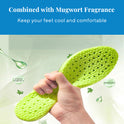 Wormwood Deodorant Insoles