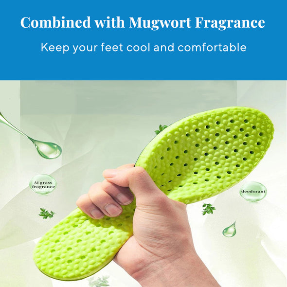 Wormwood Deodorant Insoles