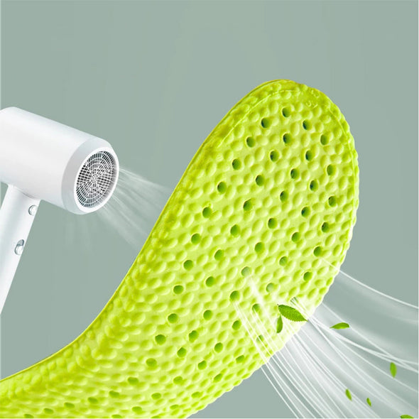 Wormwood Deodorant Insoles